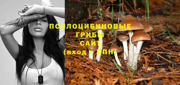 прущая мука Аркадак