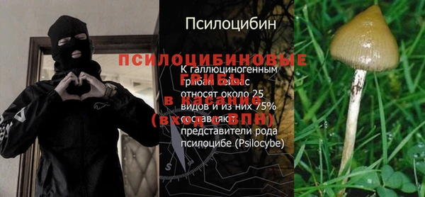 а пвп мука Армянск